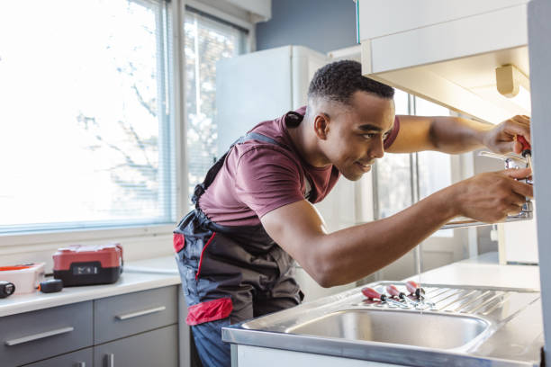 Best Local Plumber Services  in Parma, ID